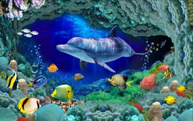 شنای دلفین زیبا و ماهی های رنگارنگ در اقیانوس