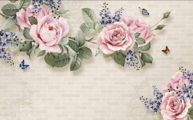 گل رز گلبهی روییده بر دیوار