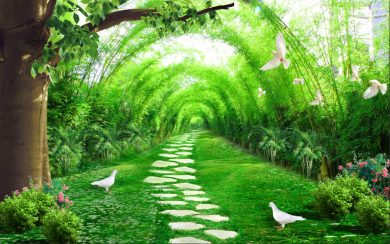طرح کبوترهای زیبا در ابتدای مسیر تونل سبز