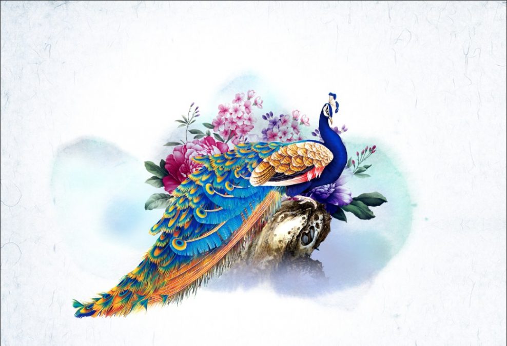 طرح زیبای آبرنگی از طاووس