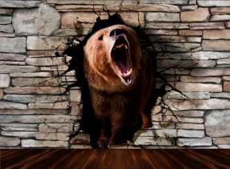 خرس قهوه ای بیرون زده از دیوار سنگی